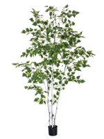 EUROPALMS Birkenbaum, Kunstpflanze, 210cm