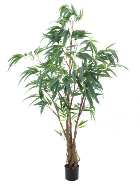 EUROPALMS Ficus Longifolia, dickstämmig, Kunstpflanze, 180cm
