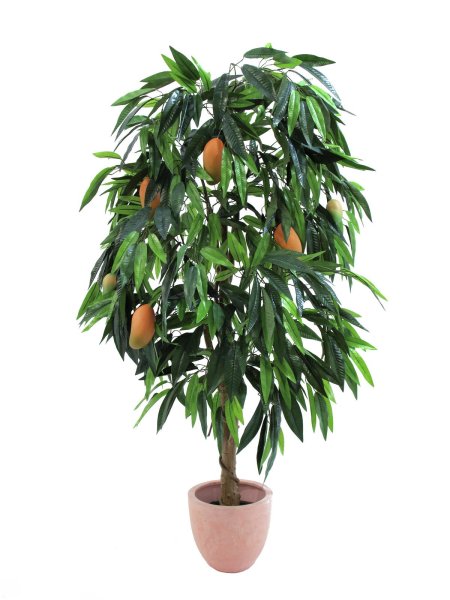 EUROPALMS Mangobaum mit Früchten, Kunstpflanze, 165cm
