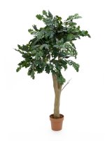 EUROPALMS Eichenbaum, Kunstpflanze, 160cm