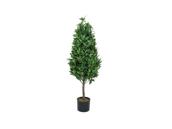 EUROPALMS Lorbeerkegelbaum, hochstamm, Kunstpflanze, 120cm