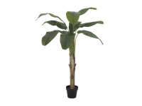 EUROPALMS Bananenbaum, Kunstpflanze, 145cm