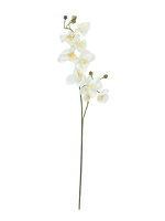 EUROPALMS Orchideenzweig, künstlich,...
