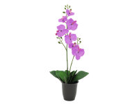 EUROPALMS Orchidee, Kunstpflanze, lila, 57cm