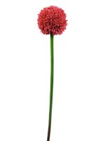 EUROPALMS Alliumzweig, k&uuml;nstlich, rot, 55cm