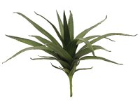 EUROPALMS Aloe (EVA), k&uuml;nstlich, gr&uuml;n, 50cm