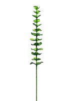 EUROPALMS Kristalleukalyptus, Kunstpflanze, gr&uuml;n,...