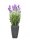 EUROPALMS Lavendel, Kunstpflanze, lila, im Dekotopf, 45cm