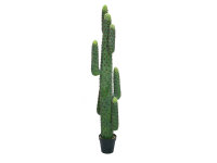 EUROPALMS Mexikanischer Kaktus, Kunstpflanze, gr&uuml;n,...