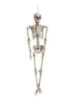 EUROPALMS Halloween Skelett