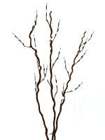 EUROPALMS Korkenzieher-Zweig, mit LEDs, weiß, 120cm