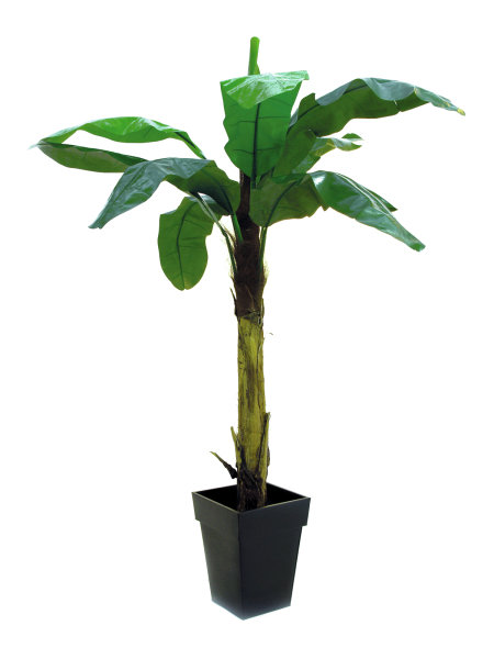 EUROPALMS Bananenbaum, Kunstpflanze, 210cm